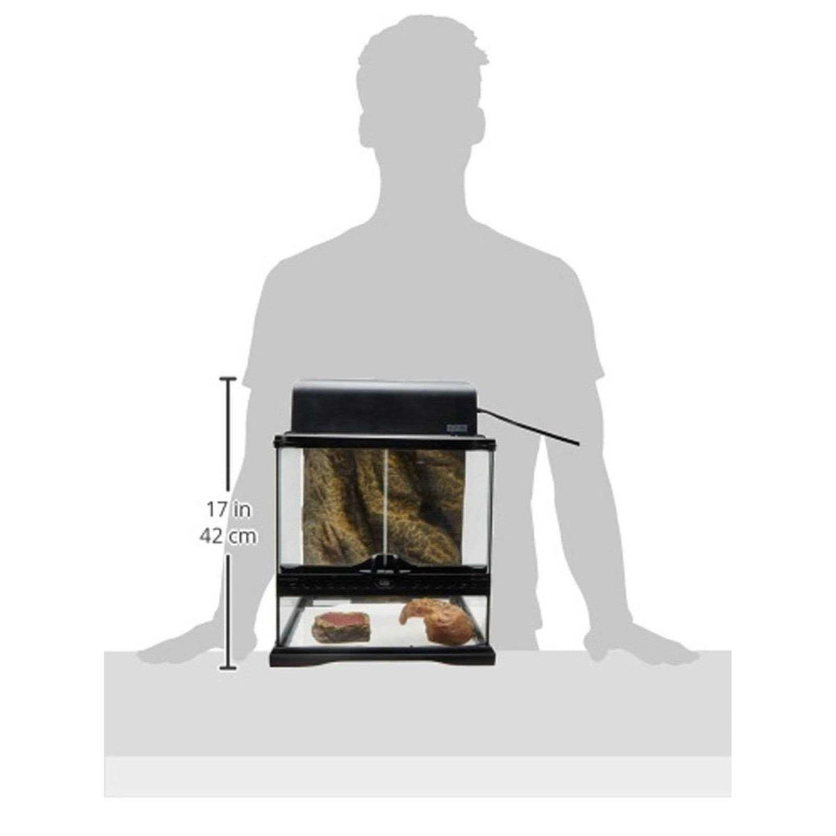 Glass Terrarium X523