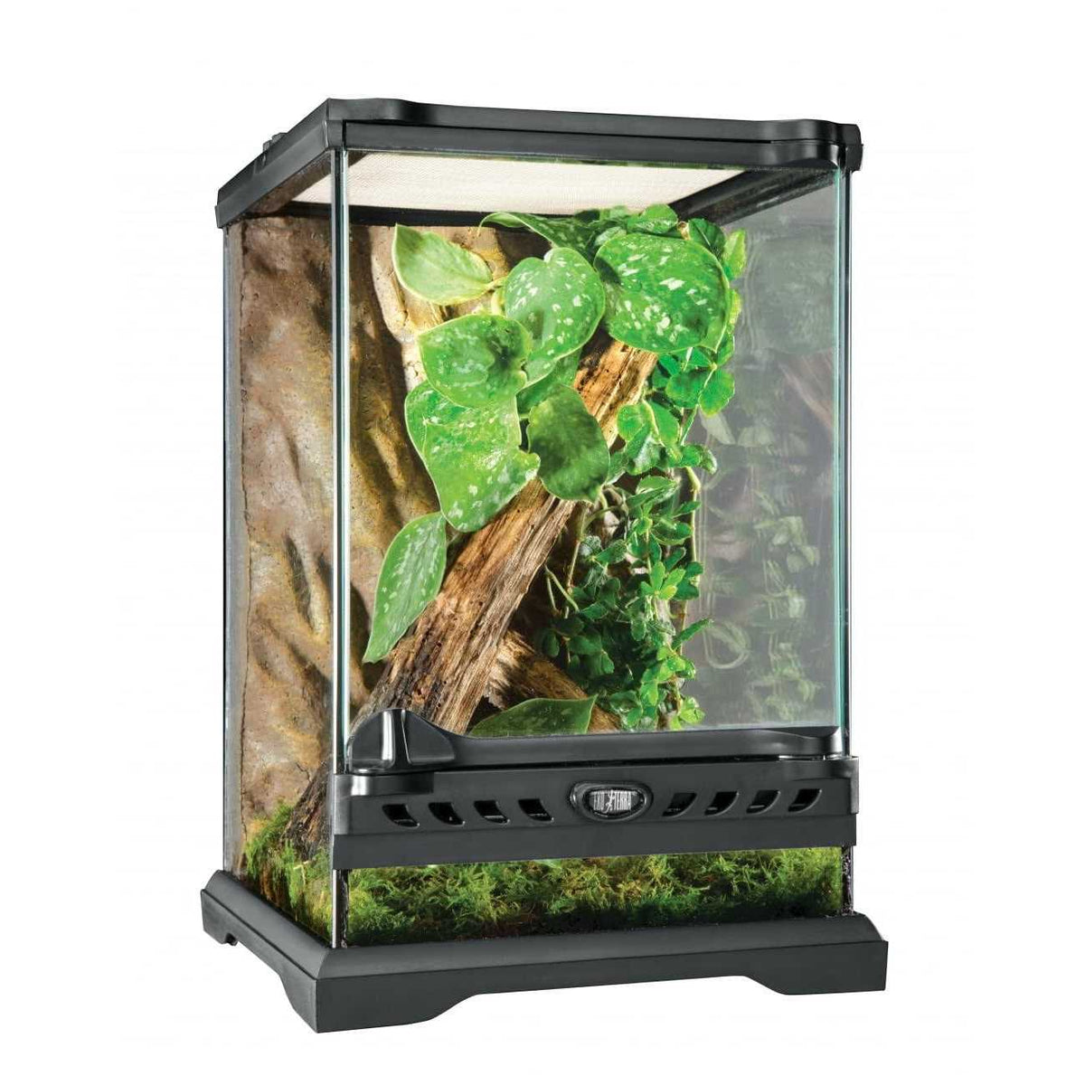 Glass Terrarium X523