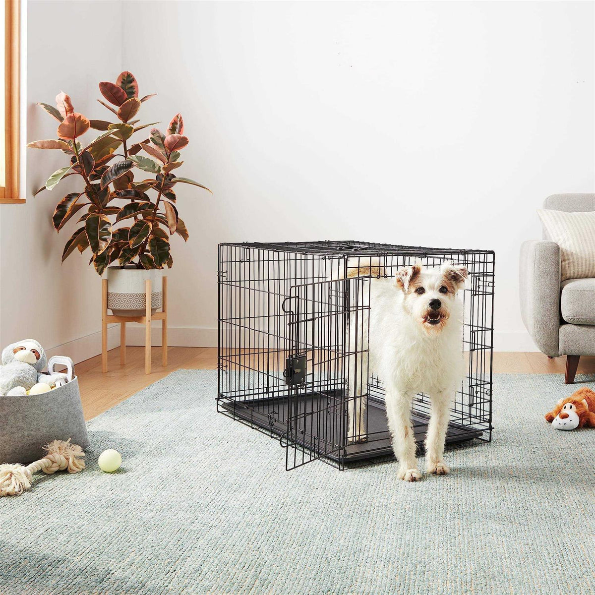Foldable Metal Wire Dog Crate with Tray B31660