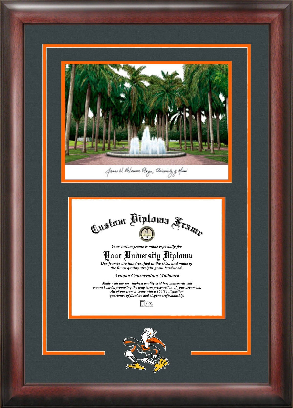 Graduate Diploma Frame W858104