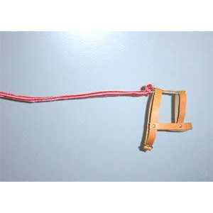 Invisible Dog Leash P38082