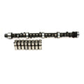 Cam & Lifter Kit D787171