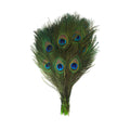 Stem Dyed Peacock Tail Feathers with Full Eyes D205