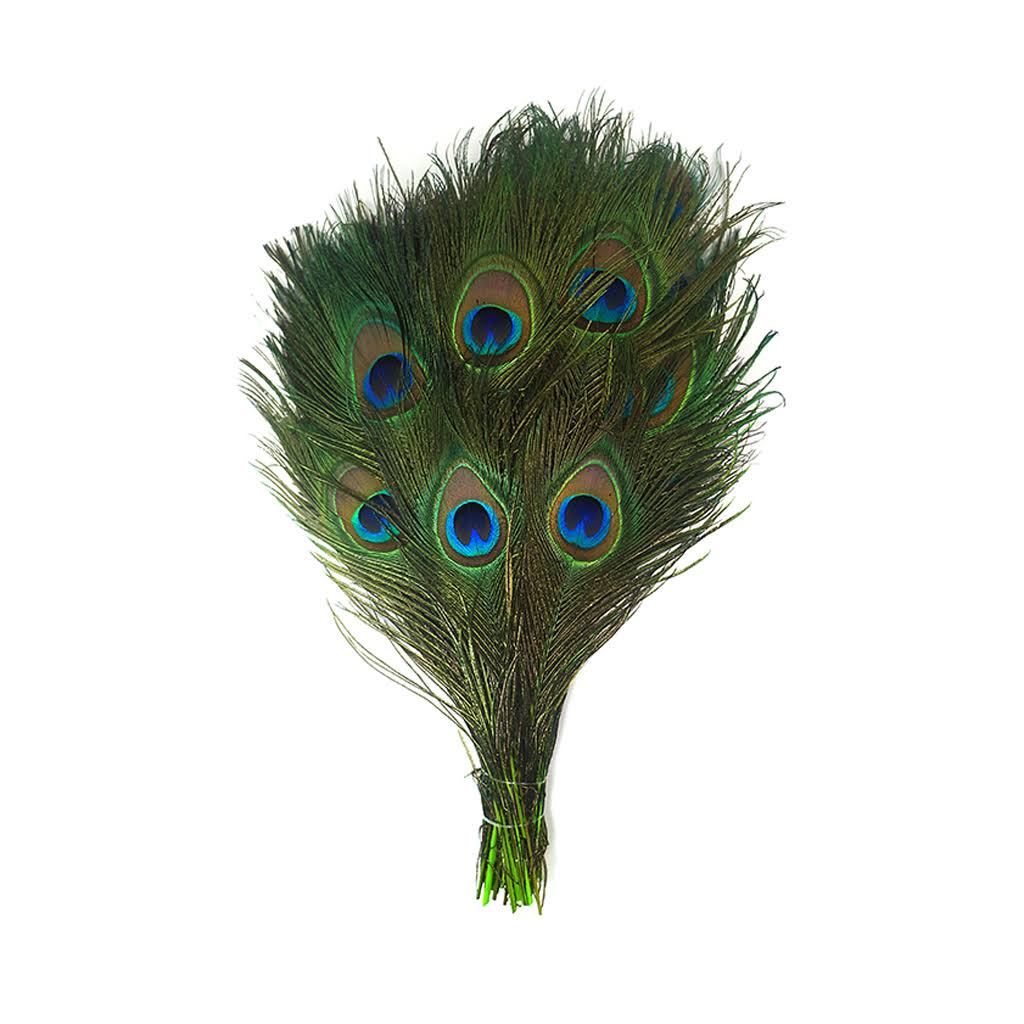Stem Dyed Peacock Tail Feathers with Full Eyes D205
