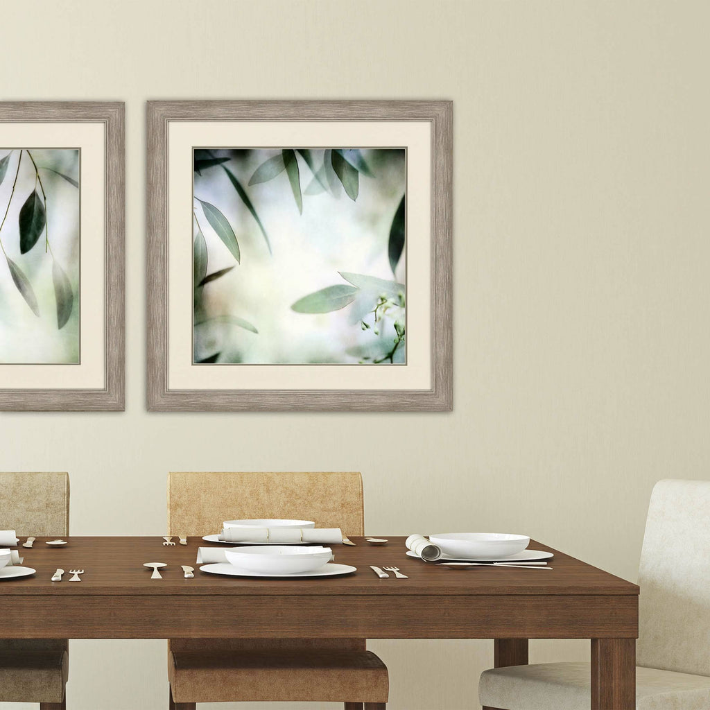 Soft Eucalyptus I T895