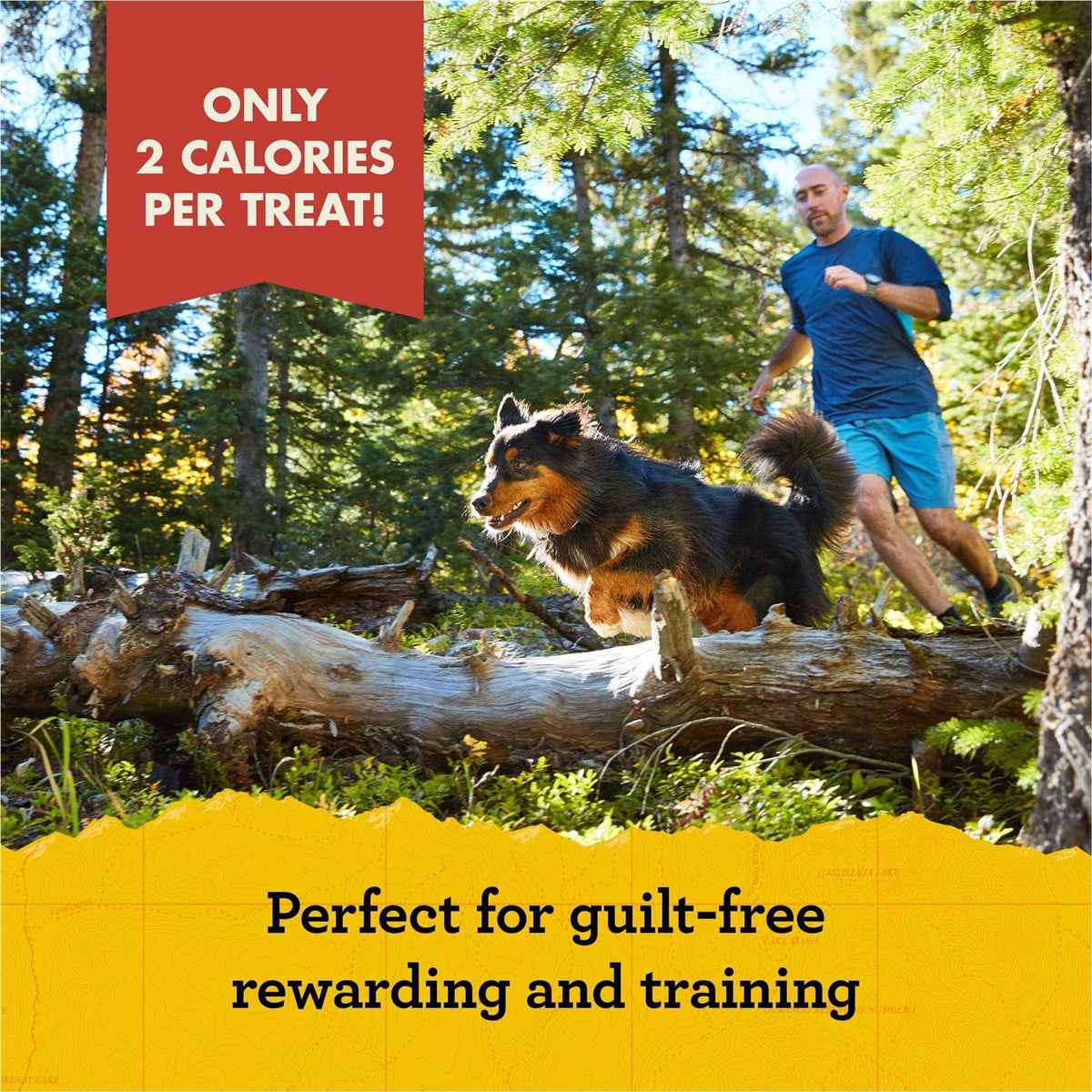 Dog Treats X176267