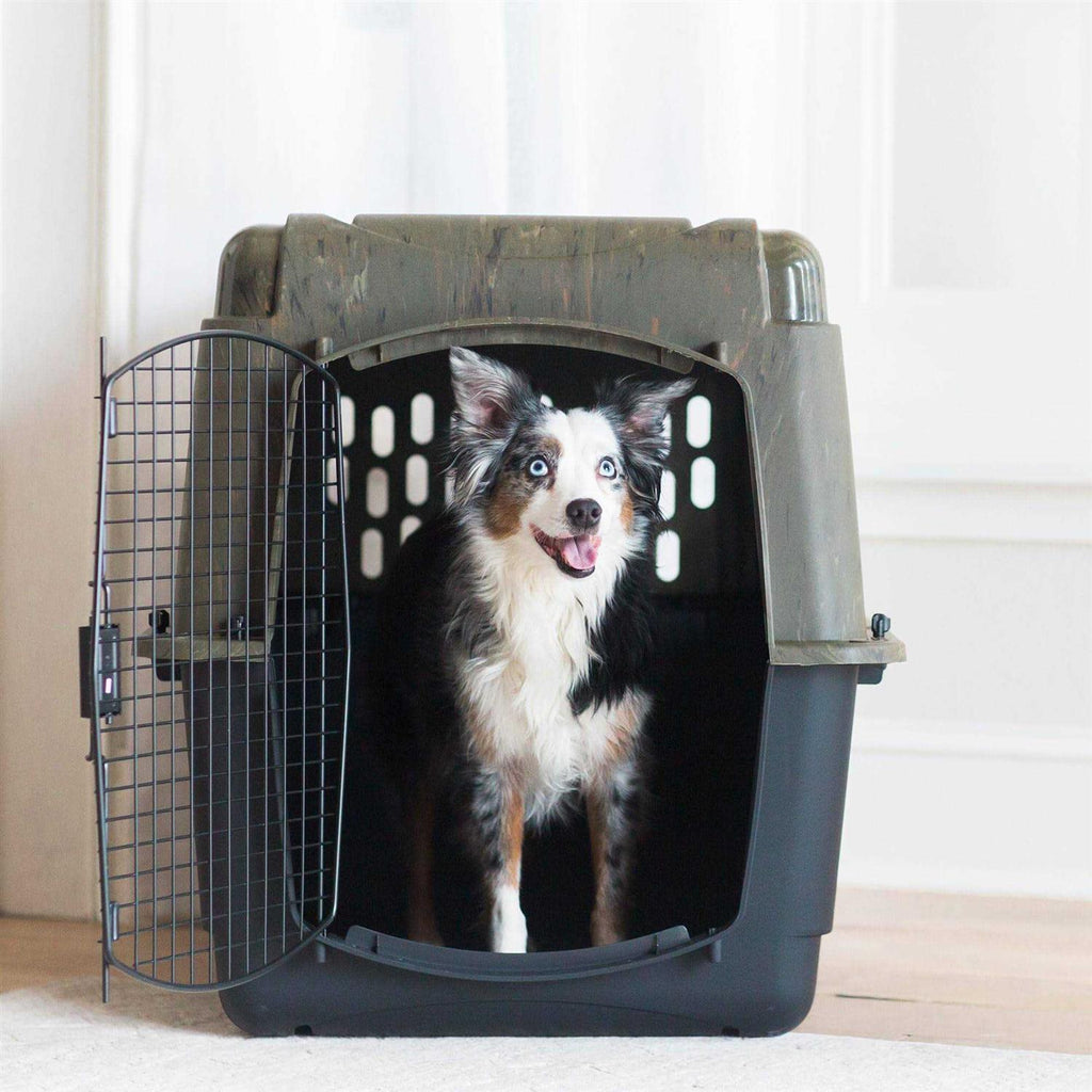 Pet Supplies D266310