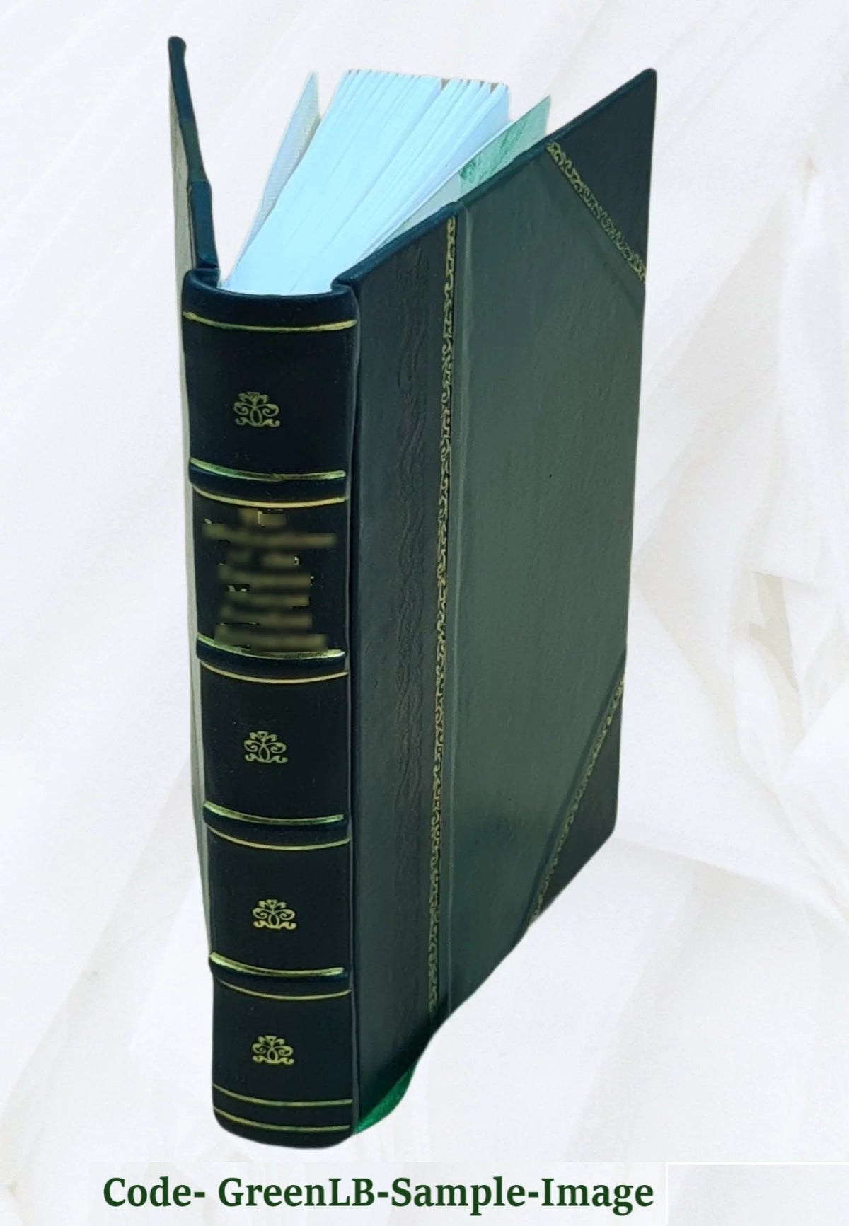 Leather Bound Z8801